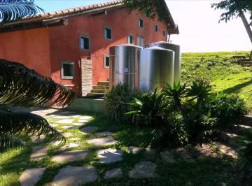 Foto 01 · EXCELENTE FAZENDA COM PINUS A VENDA NO ESTADO DE SÃO PAULO ??    - Localizada no Município de São Mi