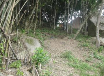 Foto 01 · Terreno, Cachoeira do Bom Jesus, Florianópolis, SC