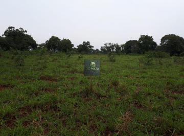 Rural · 280000m² · 2 Quartos · 3 Vagas · FAZENDA 30 HECTARES  DUPLA APTIDAO EM DOIS IRM...