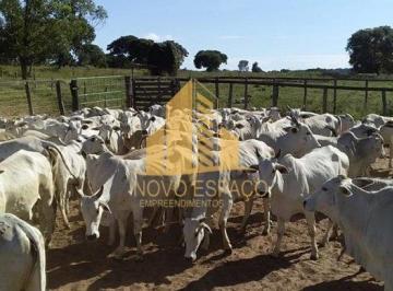 Rural · 18440000m² · Rurais à venda - em Santa Fé de Minas
