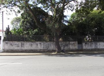 Terreno , São José dos Pinhais · TERRENO CENTRAL EM SÃO JOSÉ DOS PINHAIS COM 1.300 M²