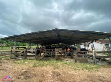 Foto 01 · Fazenda, Quizanga, Cachoeiras de Macacu, RJ