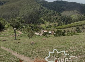 Foto 10 · FAZENDA TODA ESTRUTURADA 58 ALQUEIRES EM NATIVIDADE DA SERRA !