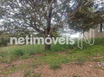 6ae678d0-9-whatsapp-image-2024-04-24-at-12.13.37.jpeg · Lote a venda no Belvedere Green