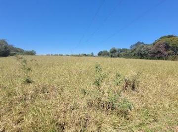 d518c5cf395f4ae608949addb5e4bd2d2faba255 · Sítio à venda, 47000 m² por R$ 1.200.000,00 - Carlos Gomes - Campinas/SP
