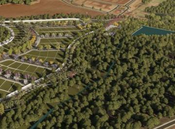 1714068103.png · Villagio Carmen Steffens 630 m2 | Só aqui na Imobiliária Rosa e Rangel