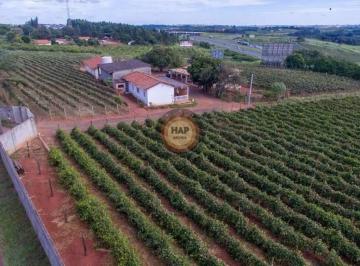 Rural · 22000m² · 9 Quartos · Sitio a Venda (produção de Uva)