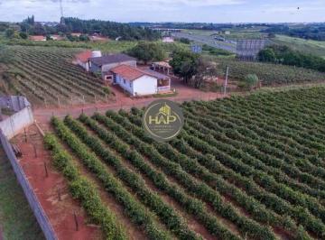 Rural · 22000m² · 9 Quartos · Sitio a Venda (produção de Uva)