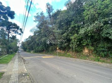 475244_ia8eFO8fKCjof_475244662a500537496.jpg · Oportunidade Única: Terreno de Esquina Acima do Nível da Rua no Bairro Palace Hotel em Canela