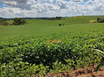 21268e561ddab72dbf323b90bc787a4080c10429 · Sítio Produtivo à Venda em São Miguel Arcanjo, SP