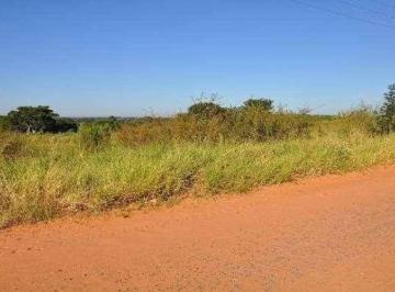 1711549939525.jpeg · Terreno no Centro em Osvaldo Cruz/SP