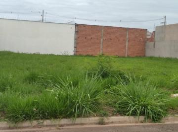 Terreno · 250m² · Terreno com 250 m2 - Parque São Matheus - Excelente Localização