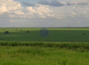 Foto 01 · Magnífica Fazenda de 1.275 Alqueires à Venda no estado de São Paulo   Situada nas áreas de Regente F
