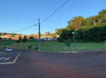 5234fada4f15944637cad095133dcb8bf309dc53 · Terreno à venda, 250 m² por R$ 160.000,00 - Parque Leblon - Londrina/PR
