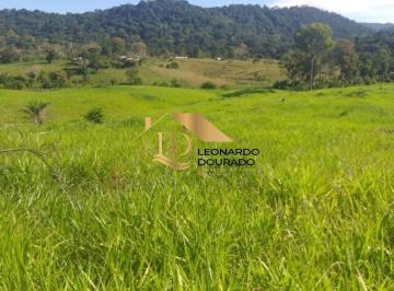 Foto 01 · Fazenda, Ilhéus, Ilhéus, BA