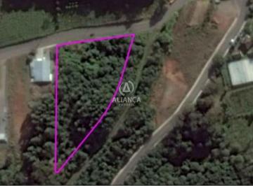 Comercial · 6975m² · Comercial à venda - em Tamandaré (Distrito)