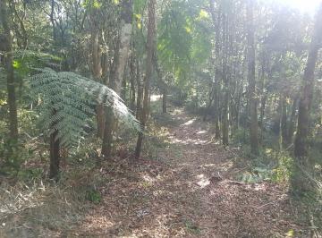 Rural , Piraquara · Oportunidade Excelente chácara de 24.200m2 Roça Nova 5 km de Piraquara