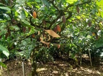 Foto 01 · Fazenda, Ilhéus, Ilhéus, BA