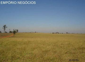 Foto 01 · Sítio venda. Empório Negócios vende sítio para lavoura e pecuária na região de Mococa- SP.