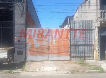 d753dd8820fb989fb2b61ee5b0767849.jpg · Terreno
