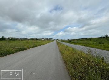 Terreno · 3900m² · terrenos para venda ideal para galpão