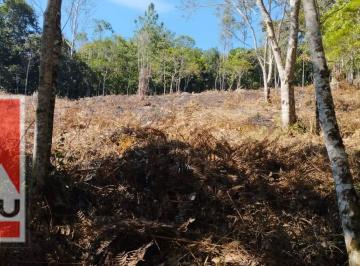 Terreno · 3000m² · TERRENO 3.000M2 EM JUQUITIBA PRONTO PARA FORMAR CHÁCARA