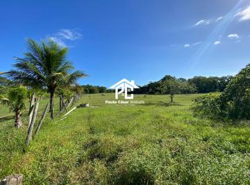 Foto 01 · Sitio com 3 alqueires no Morro Grande, Araruama-RJ. Agende uma visita hoje!