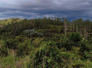 992197275378e760cdf3a5e21c14c811ac79e244 · Sítio à venda, 338800 m² por R$ 850.000,00 - São Domingos - São Domingos do Norte/ES
