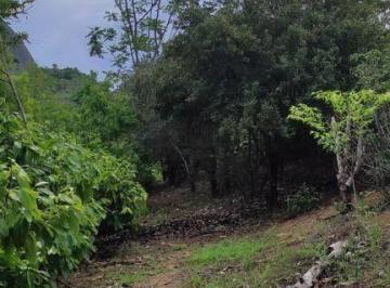 62f122083601c83c383da2737d0c65f785395a9c · Fazenda à venda, 12 m² por R$ 4.000.000,00 - Escola Agrotécnica - Colatina/ES