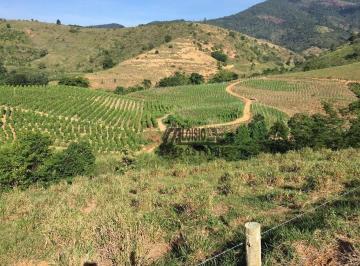 7a3d394ebbaef757a9471204e6bce168c911de87 · Fazenda à venda, 2420000 m² por R$ 10.000.000,00 - Escola Agrotécnica - Colatina/ES