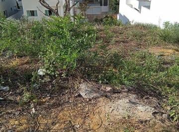 678c12d5c33a1c41a2233d3b27815e7d4831fc80 · Área à venda, 300 m² por R$ 250.000,00 - Fazenda Vitali - Colatina/ES