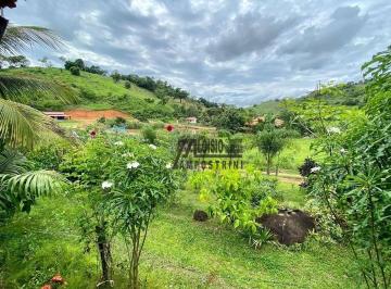 91487d7153c6ebf3322ce1c818dd0fc4dd2ffbfb · Sítio à venda, 25000 m² por R$ 700.000,00 - Zona Rural - Colatina/ES