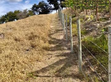 Foto 12 · Sitio de 10.000 m² a venda em Altamira - Município de Nova União - MG
