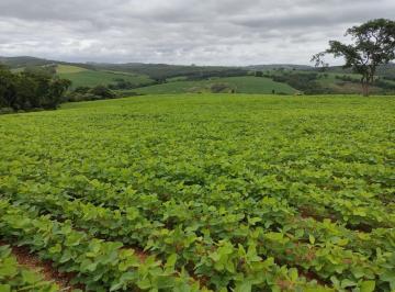 Foto 01 · Sítio 20 Alqueires, Sendo 15 Alqueires em Plantio   Restante App, Reserva e Água   Terra Mista   Top