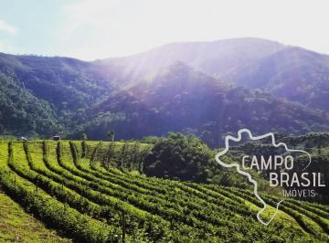 Foto 01 · MARAVILHOSA FAZENDA 54 HECTARES EM CARVALHOS - MG !