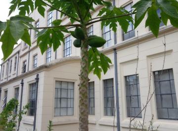 Apartamento de 1 quarto, São Paulo · vendo apto na vila buraque ao lado da faculdade marquese consolação
