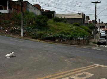 24f35405f4c2803ffdf8c2984641bf3a598316f5 · Terreno à venda, 125 m² - Parque Residencial Zabani - Santa Bárbara D'Oeste/SP