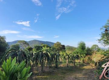 Rural · 40000m² · 2 Quartos · 3 Vagas · Lindo Sítio em Ilhota - SC