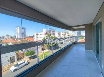 Apartamento · 112m² · 3 Quartos · 2 Vagas · Apartamento para aluguel, 3 quartos, 1 suíte, 2 vagas, Santa Mônica - Uberlândia/MG