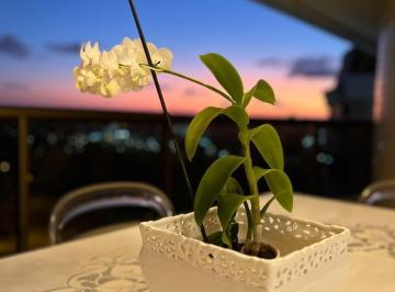 Apartamento de 4 quartos, Aracaju · Mansão do Parque