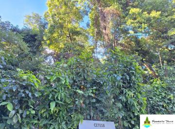 Terreno · 804m² · Excelente Terreno plano à venda, Feiticeira-Ilhabela
