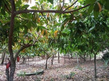 250fe60c1bf0c0e3534282c36b1ccaa69e7a2f50 · Sítio à venda, 3 m² por R$ 500.000,00 - Zona Rural - Colatina/ES