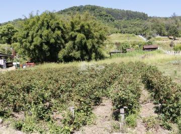 Rural · ÁREA DE TERRAS NAS MARGENS DA RS 452