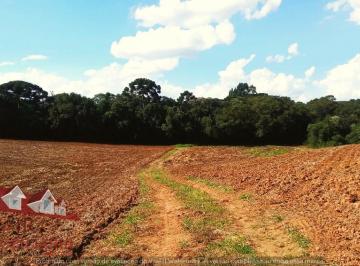 Rural , São José dos Pinhais · Chácara sem benfeitorias a Venda