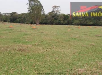 Terreno · 1000m² · Terreno à venda - em Mato Dentro