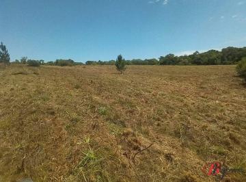 Terreno · 4m² · Área Rural à venda com 3,5 m² no bairro Passo da Reserva, em Morro Redondo - RS