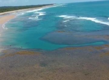 Terreno , Maraú · Terreno na Praia dos Algodões - Maraú-BA ideal para construir
