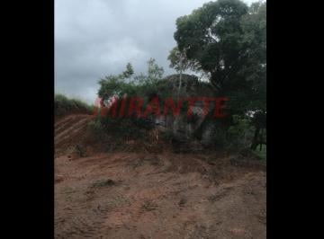c1f84cee7e435a31a2bc46a9886cda8c.jpg · Terreno de 3115m²