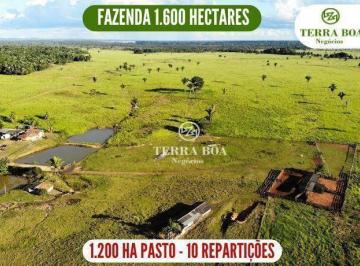 87d5beb2871f315e3aed876d69715d9a43547276 · Fazenda 1.600 Hectares - Nova Mamoré/Rondônia
