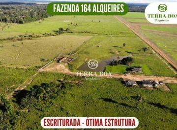 73ed66455109e6f224356c95ff49044be1e4e0ff · Fazenda 164 Alqueires - 130 Alqueires em Pasto - Porto Velho/RO